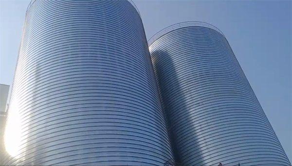 曲水2座混凝土高架卷板仓